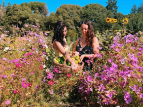 The Land - Luxury Retreat Center In Beautiful Nature - Bay Area Northern California